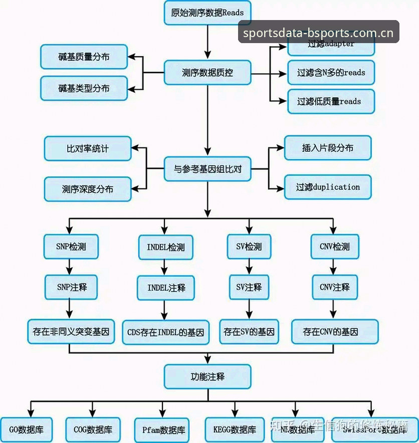 BSports体育官网实时数据操作教程：从入门到精通的完整指南